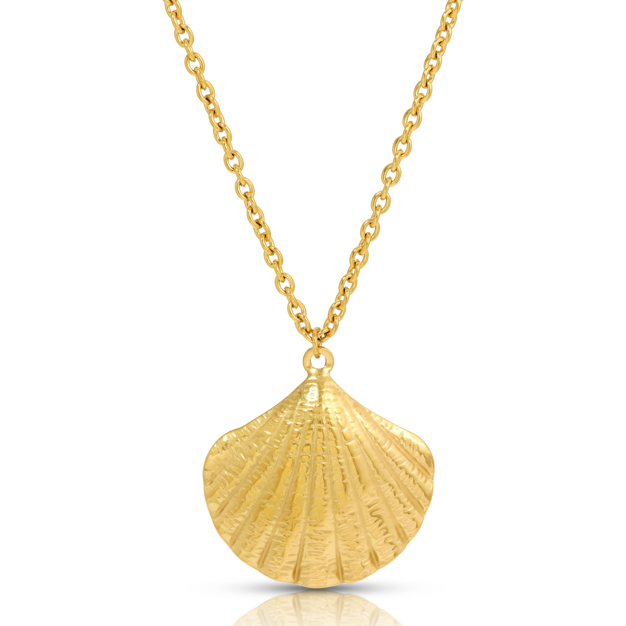 SANDY SCALLOP NECKLACE